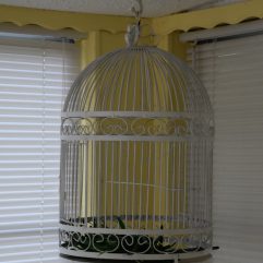 Vintage Wrought Iron Birdcage